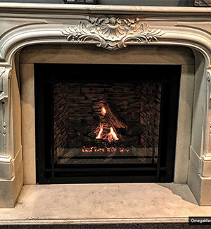 1107 Westbury Stove and Fireplace